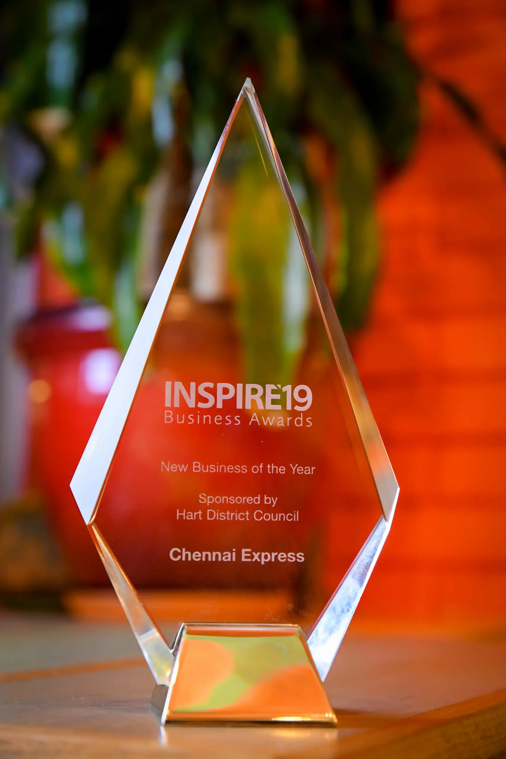 Inspire19 Business Award